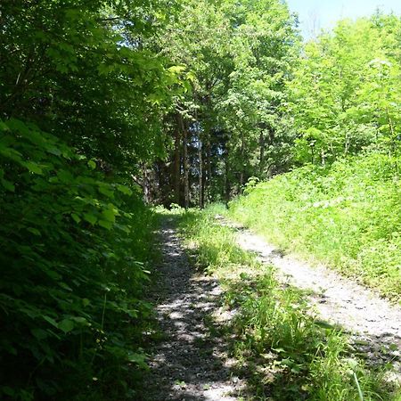 Kreiers Alp Hohenems Exterior foto